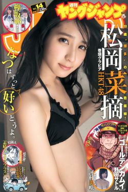 高能LH1对多