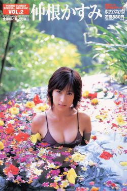 柳舟记电视剧免费播放在线