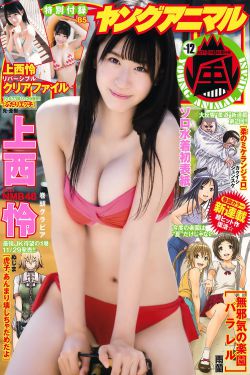 艳嫂