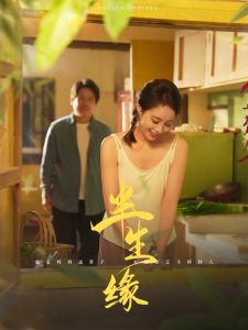 新版：半生缘